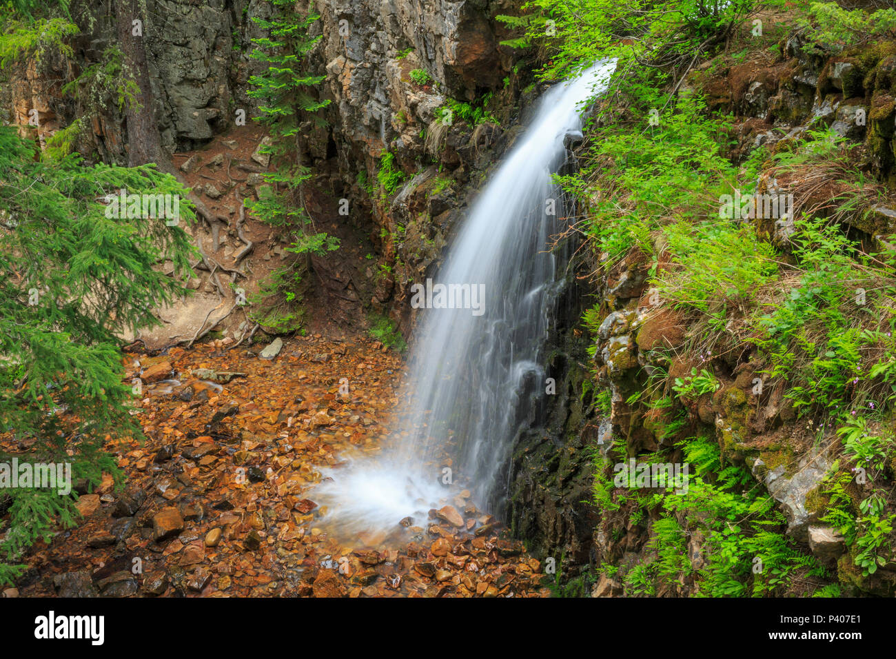 Memorial cade in Lewis e Clark National Forest vicino niehart, montana Foto Stock