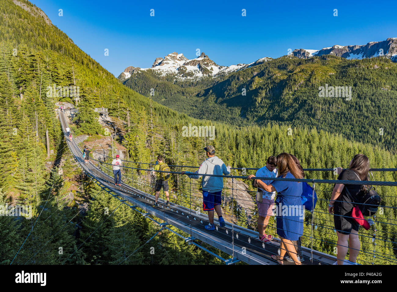 Il cavo ponte di sospensione a Sea to Sky Gondola, Squamish, British Columbia, Canad Foto Stock