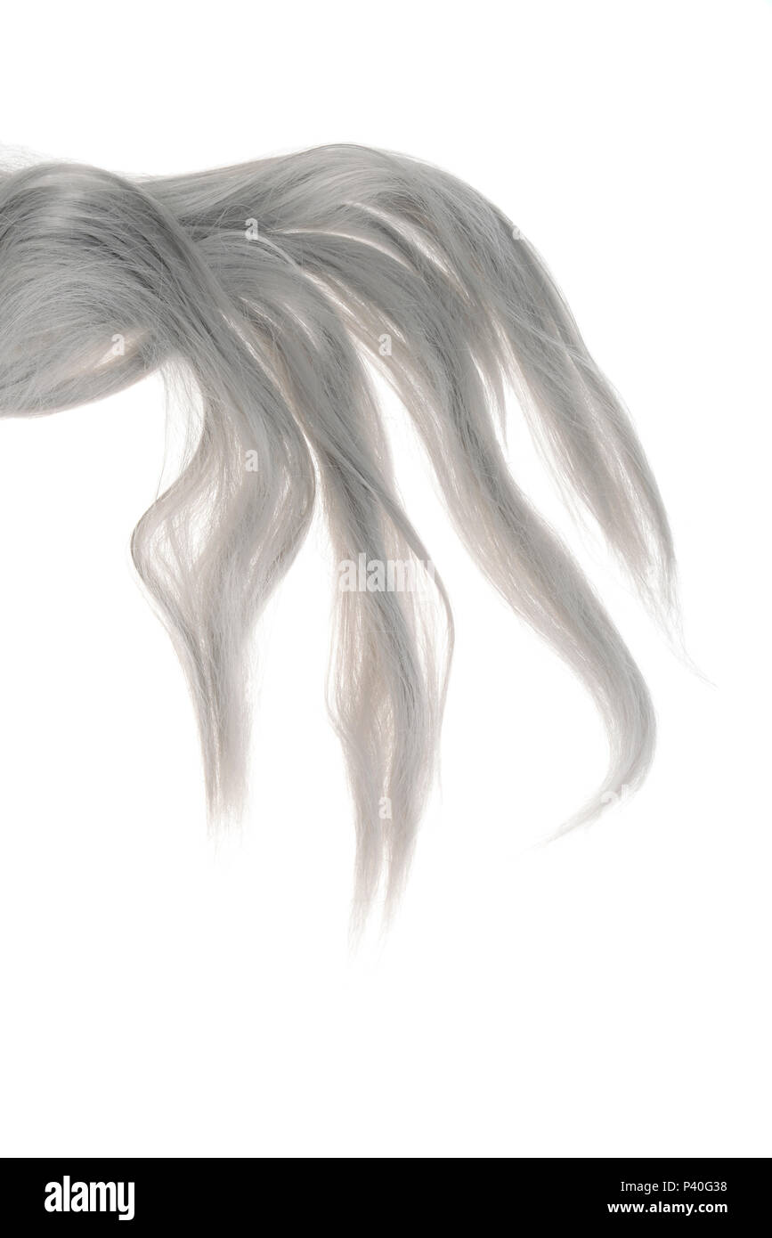 Pezzo di grigio dei capelli di trama Foto Stock