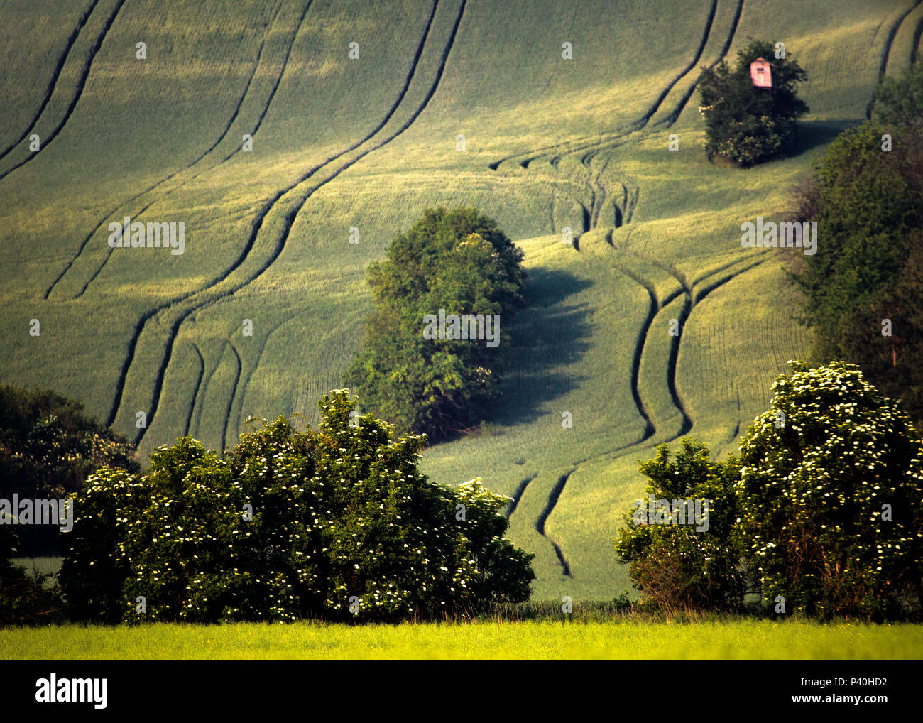 Southern moravia fields immagini e fotografie stock ad alta risoluzione