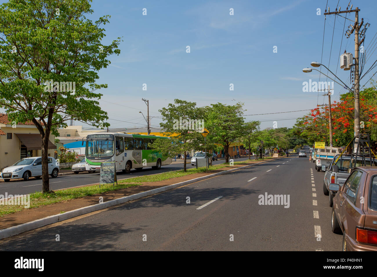 Rua Monteiro Lobato, em Ribeirão Preto, interior de São Paulo. Foto Stock