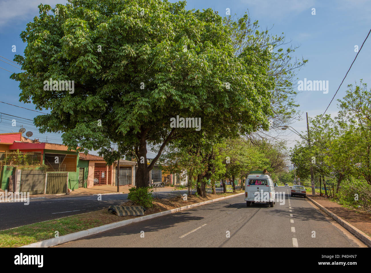 Rua Monteiro Lobato, em Ribeirão Preto, interior de São Paulo. Foto Stock