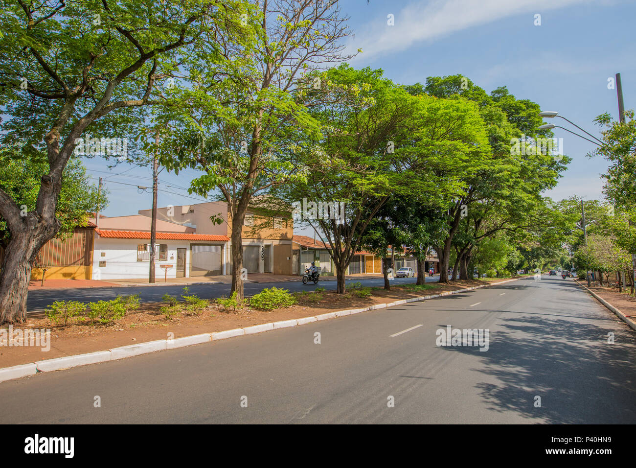 Rua Monteiro Lobato, em Ribeirão Preto, interior de São Paulo. Foto Stock