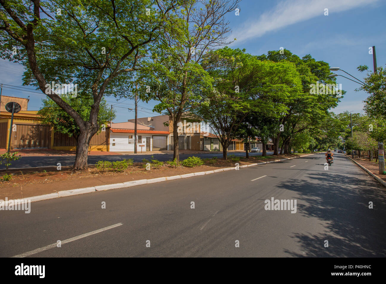 Rua Monteiro Lobato, em Ribeirão Preto, interior de São Paulo. Foto Stock