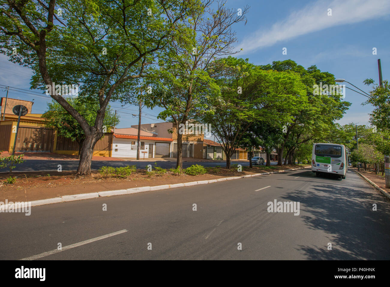 Rua Monteiro Lobato, em Ribeirão Preto, interior de São Paulo. Foto Stock
