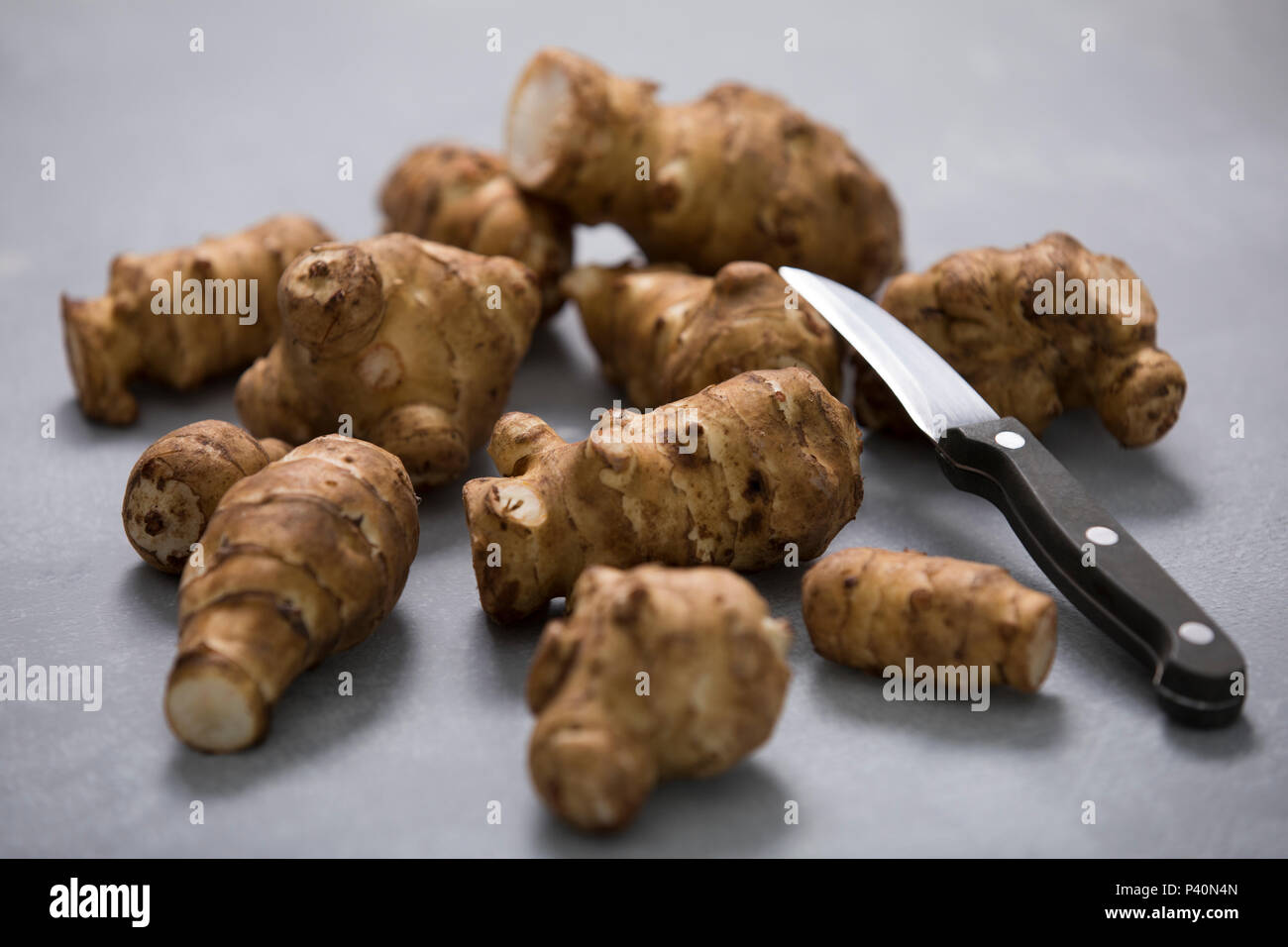 Topinambur (Helianthus tuberosus), Alternativa zur Kartoffel, Studio Foto Stock