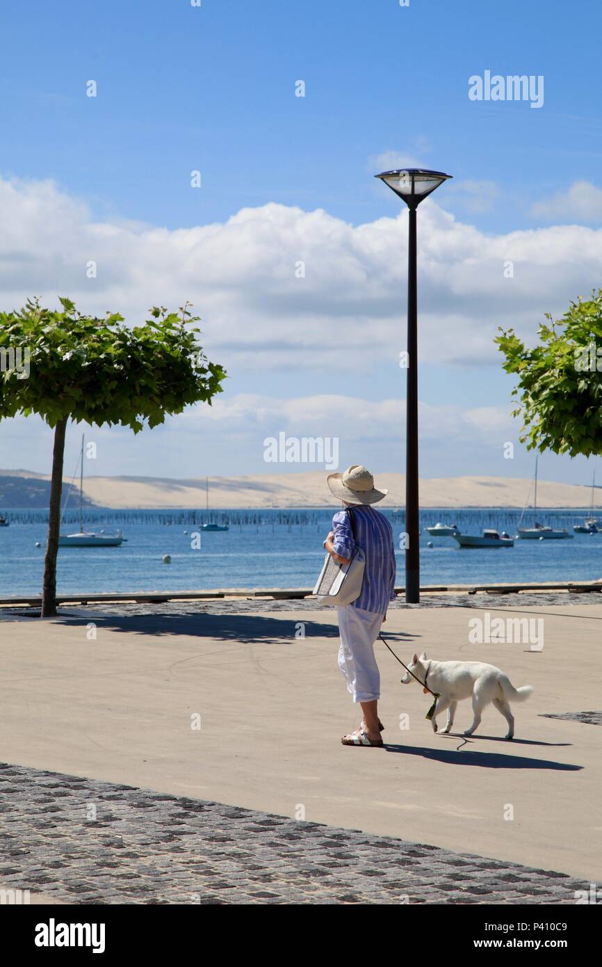 Scorci di Cap Ferret, Bassin d'Arcachon, Aquitaine, Francia Foto Stock