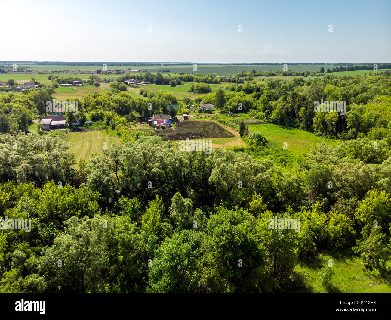Vista della campagna in estate nella regione di Lipetsk in Russia Foto Stock