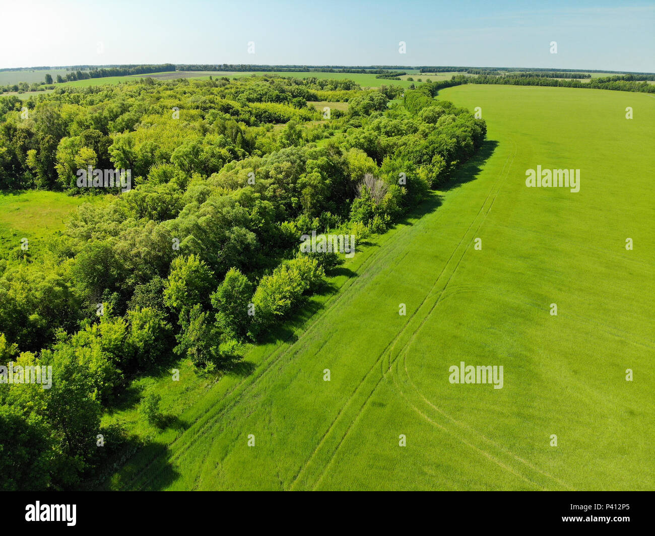 Vista della campagna in estate nella regione di Lipetsk in Russia Foto Stock