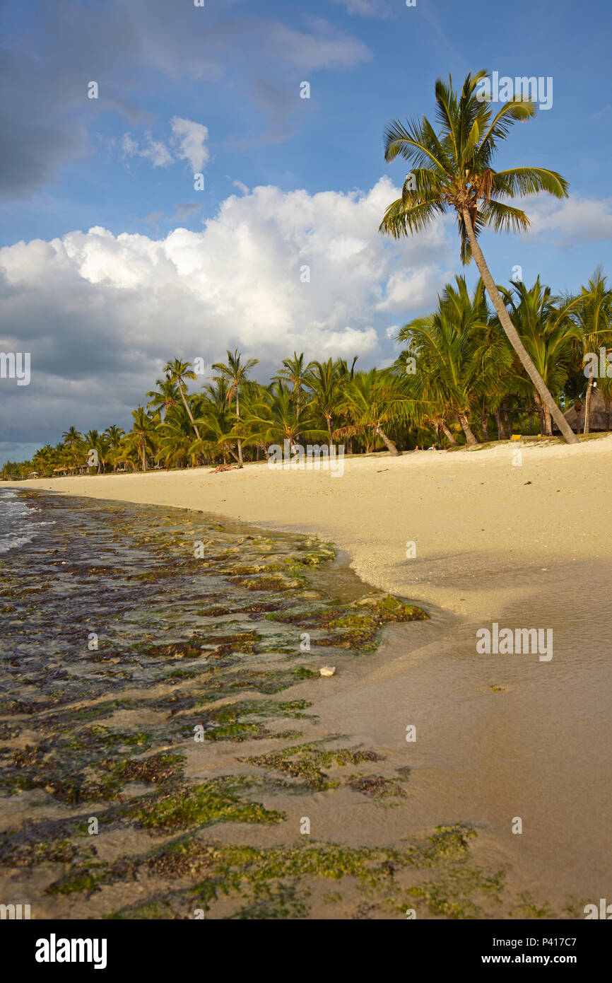 La spiaggia di Le Morne Brabant, Mauritius Foto Stock