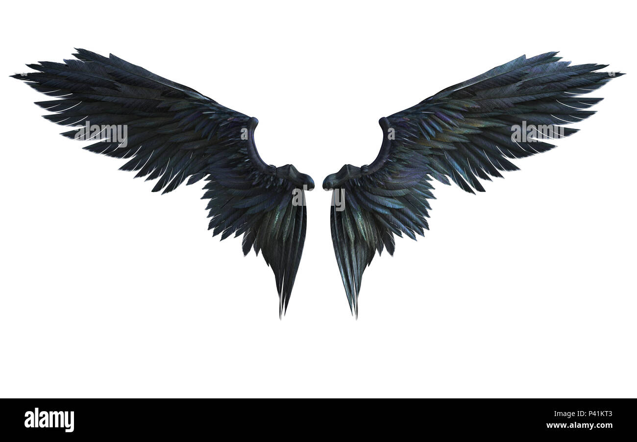 Demon Ali, parafango nero piumaggio isolato su sfondo bianco con percorso di clipping. Foto Stock