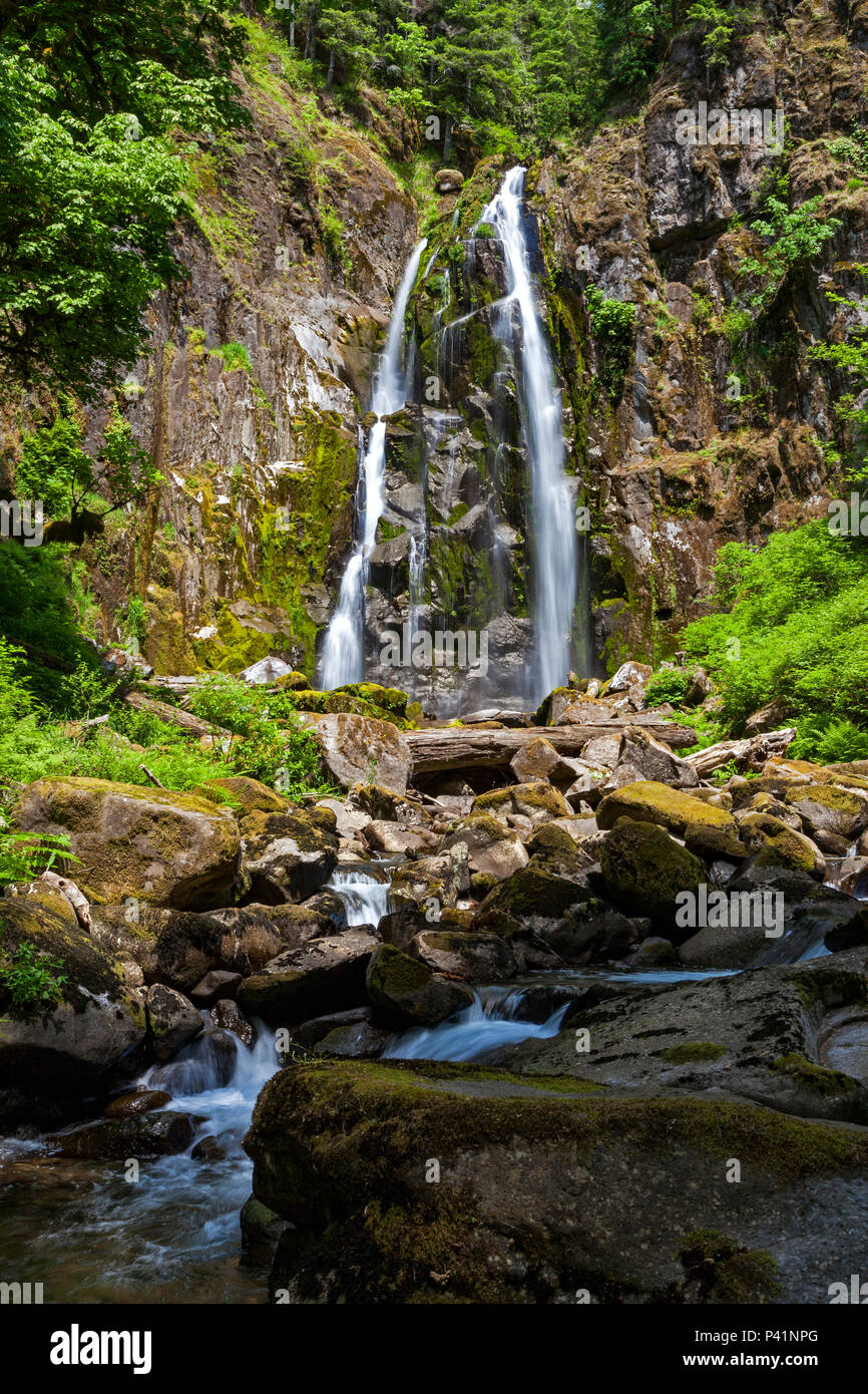 Forcella del nord rientra in Oregon Suislaw della Foresta Nazionale vicino alla città di Reedsport. Foto Stock