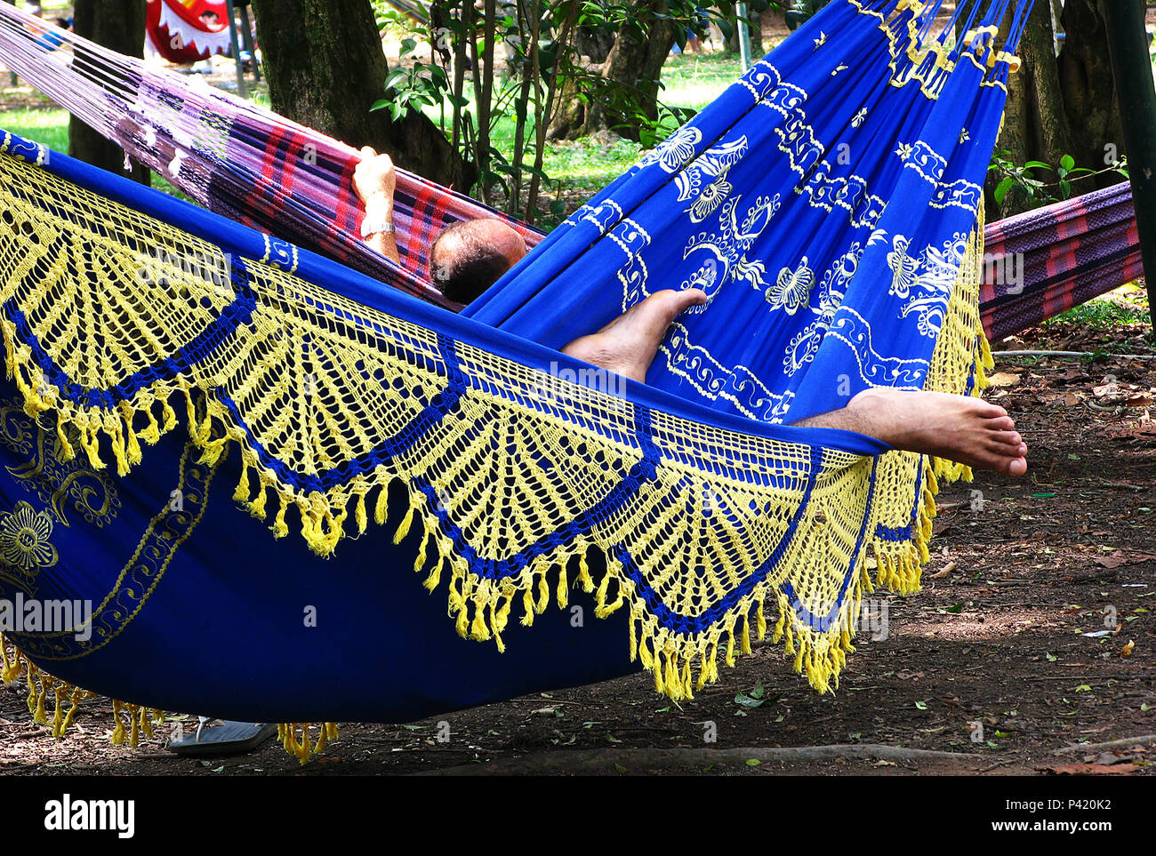 Parque Ibirapuera-São Paulo Data 01/01/2008 Rede Rede de Dormir Rede com barra de croche rede de Descanso duas redes com pessoas redes no Parque Parque Ibirapuera São Paulo Brasil Foto Stock