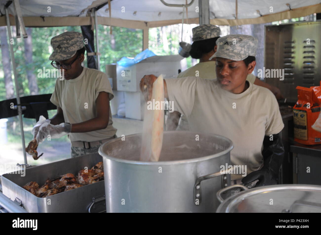 Pfc. Babrah Mumeld e Pvt. Zenetria Williams preparare la cena da un mobile da cucina durante il rimorchio Anakonda 16 all'Drawsko Pomoriskie Area Formazione in Polonia. Esercizio Anakonda 16 è un polacco-led, giunto, multinazionale di esercizio che si svolge in Polonia da Giugno 7-17. Mumeld è da Seattle, e assegnata alla 483rd Quartermaster azienda basata in Marysville, nello Stato di Washington Williams da Brooklyn, NY assegnato alla 716th Quartermaster azienda basata in Jersey City, NJ. (Foto di Sgt. Dennis vetro) Foto Stock