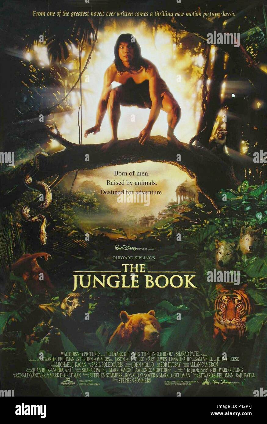 Pellicola originale titolo: IL LIBRO DELLA GIUNGLA. Titolo inglese: il libro della giungla. Regista: Stephen Sommers. Anno: 1994. Foto Stock