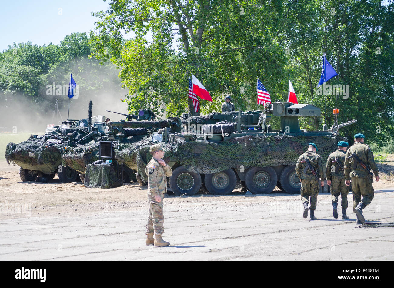 Stati Uniti I soldati dell esercito fase M1126 Strykers come un display durante un ponte che attraversa il funzionamento in Chelmno, Polonia, 7 giugno 2016. Forze multinazionali coordinati, assemblato e quindi attraversato un ponte costituito da tedesco e inglese M3 Rig anfibio, permettendo che i veicoli per attraversare il fiume Vistola come una parte di esercizio Anakonda 2016. Il polacco-led esercizio è un collettivo sforzo di formazione per rafforzare l'interoperabilità e rafforzare i legami tra gli alleati della NATO e partner, collettivo per garantire la pace e la sicurezza nella regione. Foto Stock