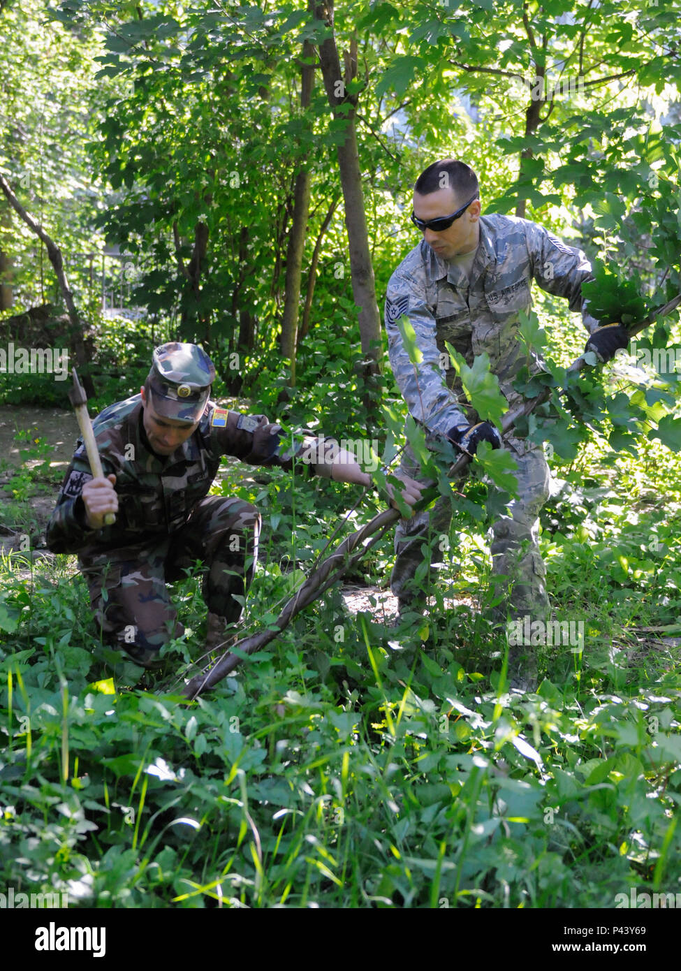Un soldato da moldave esercito nazionale lavora fianco a fianco con un aviatore dal Kentucky Air National Guard's 123Ingegnere Civile squadrone di chiara spazzola lontano dietro la Scuola Speciale #12 a Chisinau, in Moldavia, Giugno 8, 2016. Più di 35 aviatori dal Kentucky unità sono il rinnovamento di questa istituzione, che è l unica scuola in Moldova appositamente per persone non udenti e con esigenze speciali agli studenti. Il progetto umanitario è una collaborazione con l'Ufficio di cooperazione della difesa degli Stati Uniti e Comando europeo, con fondi essendo fornita dal National Guard Bureau. (U.S. Air National Guard foto di Tech. Sgt. Foto Stock Un soldato da moldave esercito nazionale lavora fianco a fianco con un aviatore dal Kentucky Air National Guard's 123Ingegnere Civile squadrone di chiara spazzola lontano dietro la Scuola Speciale #12 a Chisinau, in Moldavia, Giugno 8, 2016. Più di 35 aviatori dal Kentucky unità sono il rinnovamento di questa istituzione, che è l unica scuola in Moldova appositamente per persone non udenti e con esigenze speciali agli studenti. Il progetto umanitario è una collaborazione con l'Ufficio di cooperazione della difesa degli Stati Uniti e Comando europeo, con fondi essendo fornita dal National Guard Bureau. (U.S. Air National Guard foto di Tech. Sgt. Foto Stock