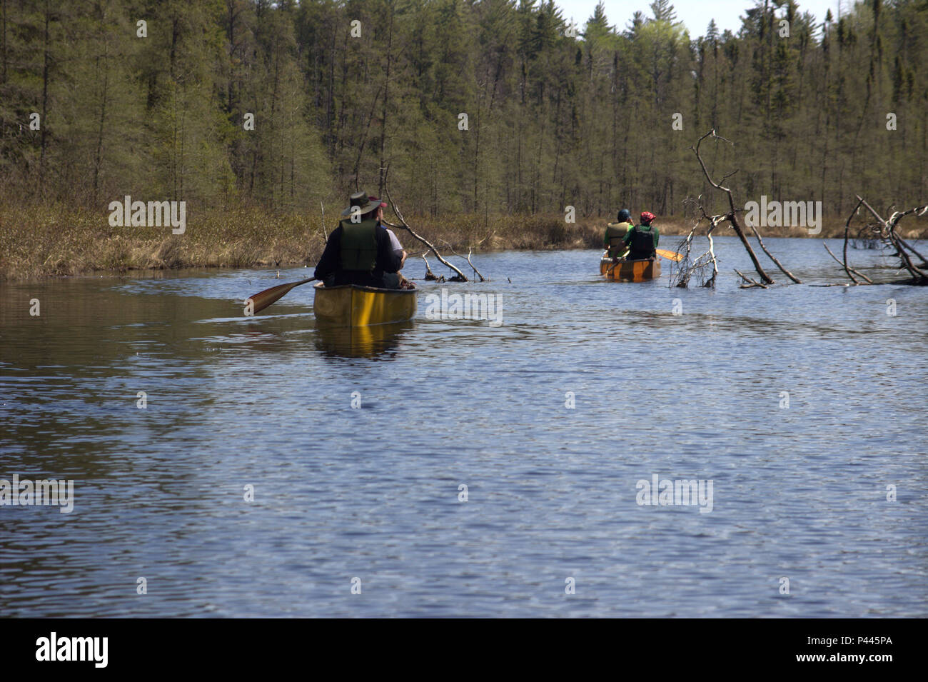 Canoa deserto remoto del confine acqua canoa Area nel nord del Minnesota, Stati Uniti d'America. Attività di esplorazione e di viaggio è solo essere fatto da non imbarcazioni motorizzate Foto Stock