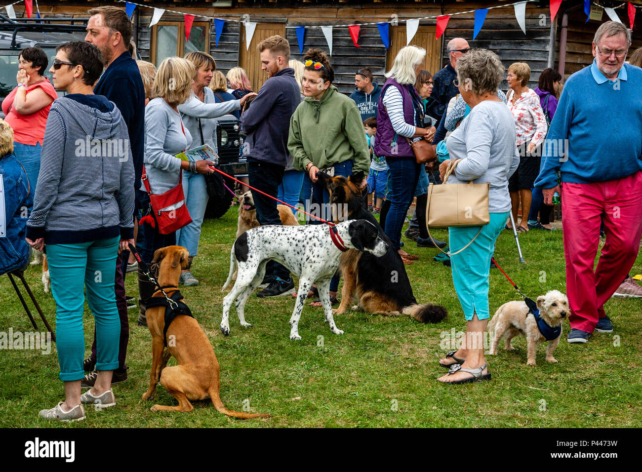 Persone locali con i loro cani all'annuale ad alto villaggio Hurstwood Fete, Sussex, Regno Unito Foto Stock