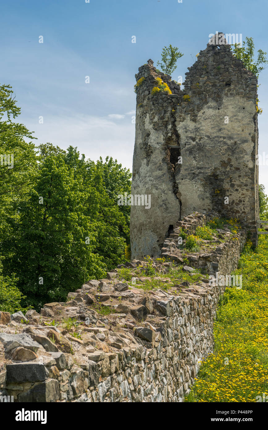 Rovine del Castello di Saris vicino a Presov in Slovacchia Foto Stock