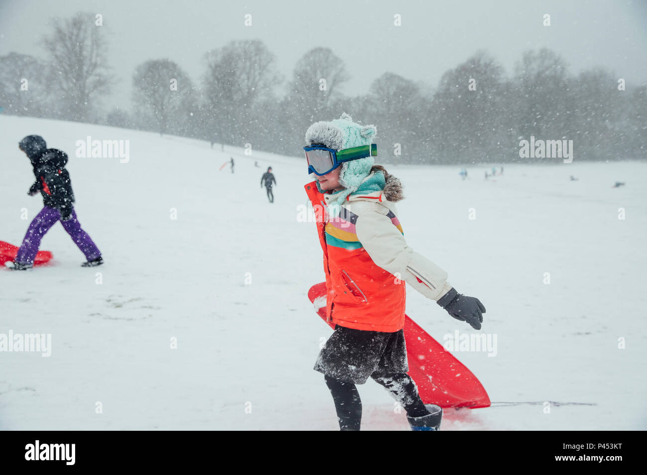 Bambina sta portando il suo sled indietro fino alla cima di una collina con i suoi amici. Nevica e indossa occhiali da sci. Foto Stock