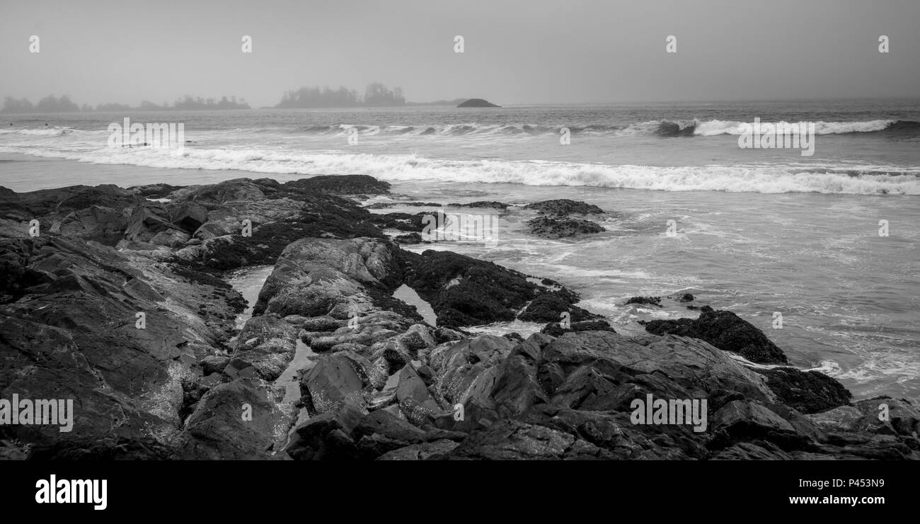Le onde del mare lungo il litorale, Chesterman Beach, Tofino, Isola di Vancouver, British Columbia, Canada Foto Stock
