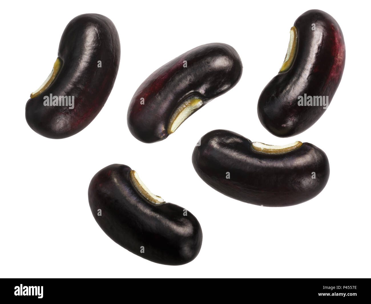 Grammo nero o nero matpe fagioli (Vigna mungo semi), vista dall'alto, fresche Foto Stock
