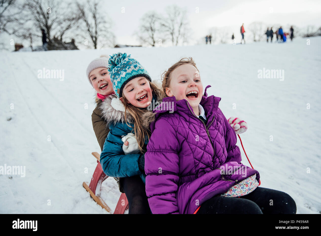 Tre bambine sono seduto su una slitta insieme, andando in discesa nella neve. Foto Stock
