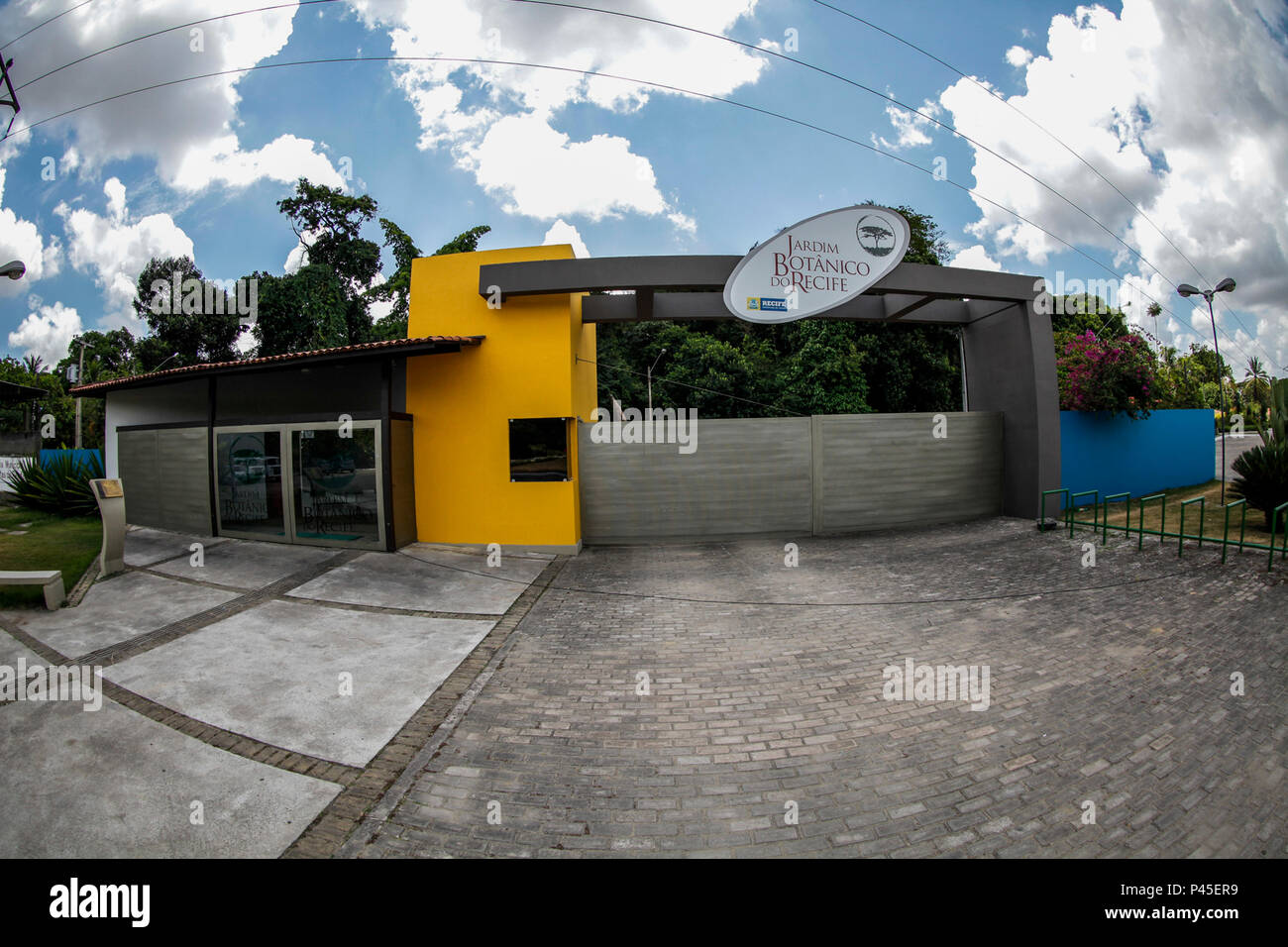 A partir de segunda-Feira (16), o Jardim BotÃ¢nico da cidade serÃ¡ reinaugurado depois de passar mais de quatro meses em reforma, com 10,7 ettari de mata atlÃ¢ntica e belas espÃ©cies exÃ³ticas, una novidade mais atraente para o pÃºblico sÃ£o os novos jardins das orquÃ-deas, bromÃ©lias e cactÃ¡ceas. RECIFE/PE, Brasil. Foto: Carlos Ezequiel Vannoni/Agencia JCM/Fotoarena Foto Stock