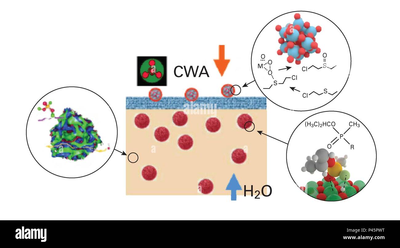 Schema del prototipo multicatalyst film composito per catturare e disintossicazione di agenti di guerra chimica. Immagine cortesia di Alex Neimark, Rutgers University ha sviluppato sotto contratto DTRA. Foto Stock