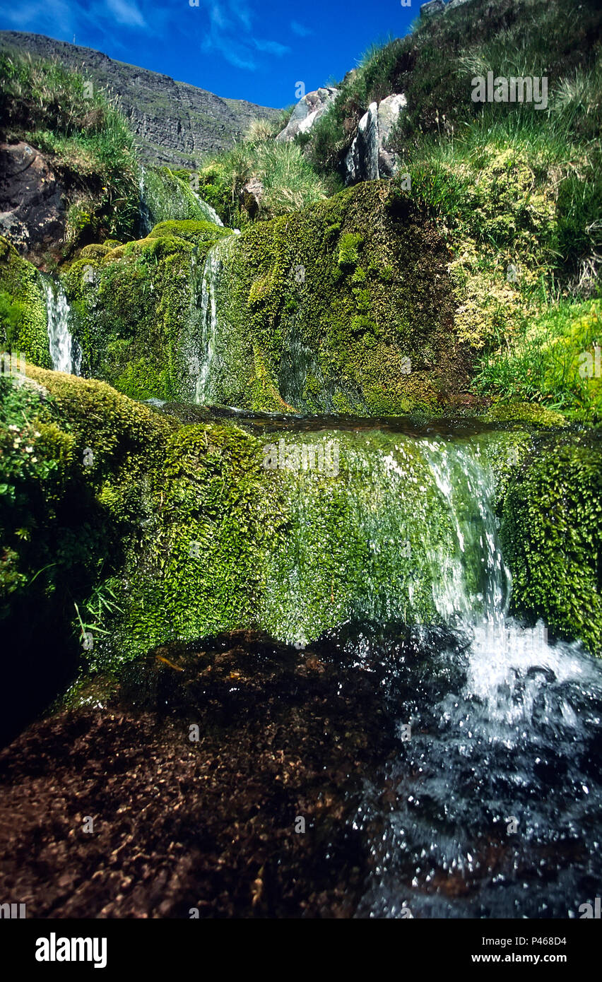 Abhainn Coire Mhic Nobuil, il torrente che scende Coir nan Laogh sotto Tom na Gruagaich, uno dei vertici della Beinn Alligin in Torridon, Scozia Foto Stock