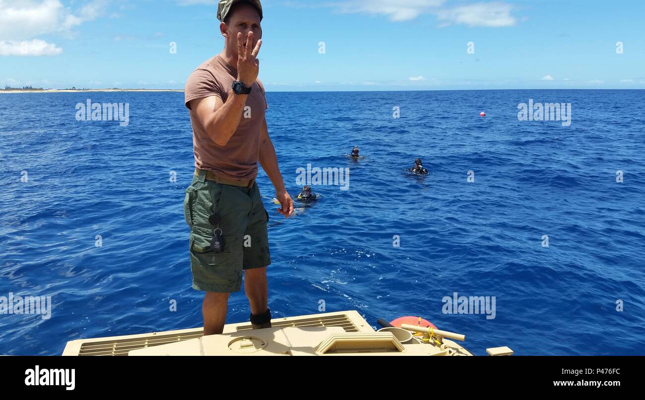 160620-N-ZZ999-001 BARKING SANDS, Hawaii (20 giugno 2016) Costruzione meccanico 2a classe Tristan DeDelva, assegnato alla costruzione subacquea Team (UCT) 2, grida il numero di cavi in un bundle di essere inviati verso il basso con i subacquei durante il cavo sottomarino manutenzione. UCT 2's costruzione Dive distacco Bravo (CDDB) sta conducendo il cavo sottomarino manutenzione e riparazione presso il Pacific Missile Range Facility. CDDB è sulla prima tappa della loro distribuzione, dove stanno conducendo l'ispezione, la manutenzione e la riparazione dei vari subacquea e waterfront strutture a sostegno della flotta del Pacifico. (U.S. Navy Foto Stock
