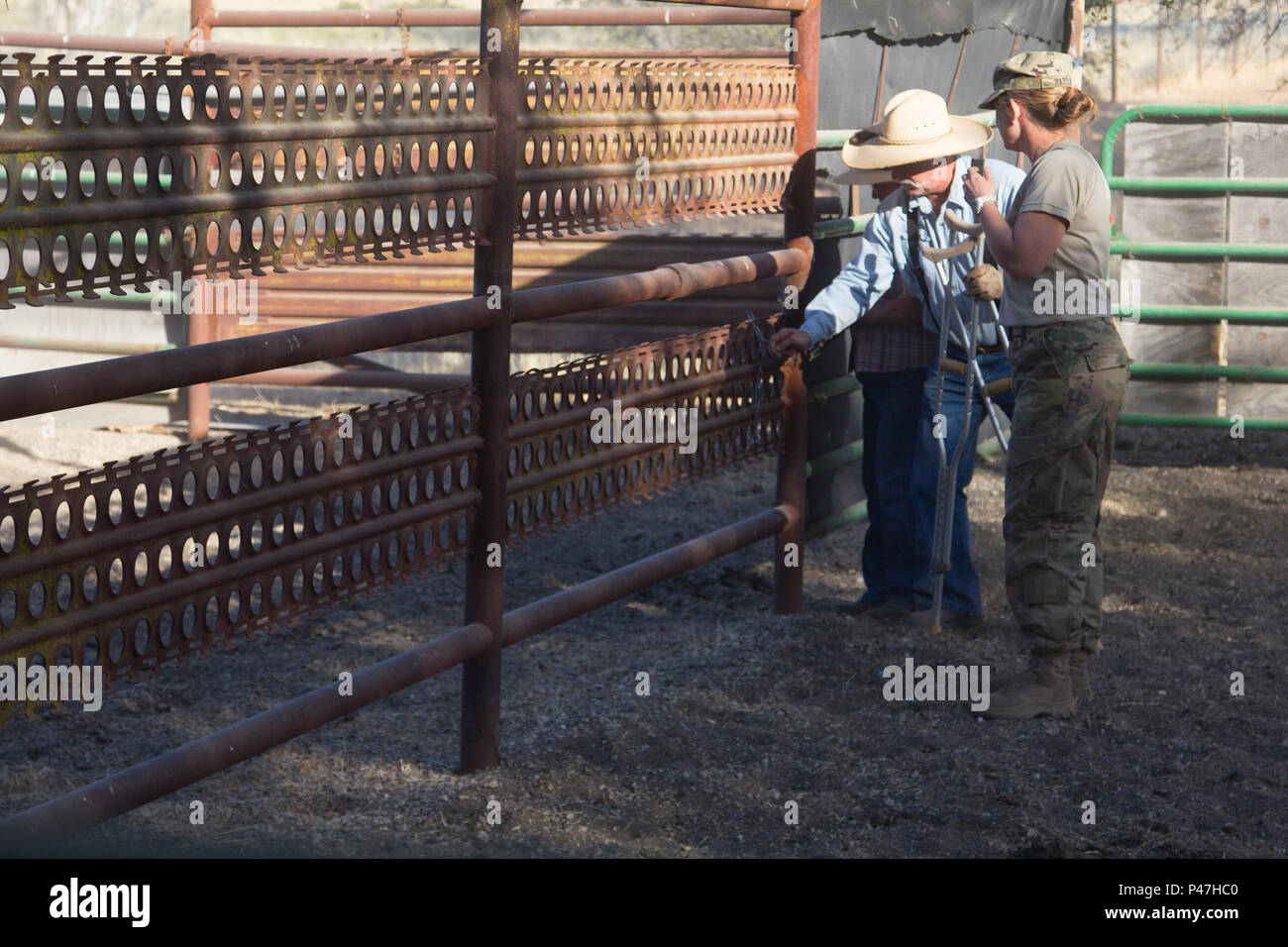 Lester Patterson, Patterson Ranch, Lockwood, California, si sblocca una penna di contenimento per gli Stati Uniti La riserva di esercito il Mag. Ellen Ratcliff, veterinario e dirigente, 445th Medico Veterinario di distacco di specialisti, indipendenza Mo., durante un veterinario servizi formazione missione sul suo bestiame come parte della lotta contro la formazione di supporto esercizio 91-16-02, Fort Hunter Liggett, California, 20 giugno 2016. Come più grandi DEGLI STATI UNITI La riserva di esercito di esercitazione, CSTX 91-16-02 fornisce soldati con opportunità uniche per affinare le loro conoscenze tecniche e competenze strategiche in combattimento-come le condizioni. (Foto di U.S. Army Sgt. Marty Foto Stock