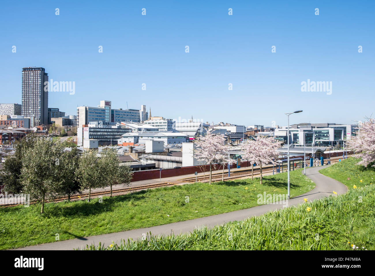 Sheffield City skyline, Sheffield South Yorkshire, Inghilterra, Gran Bretagna, Regno Unito Foto Stock