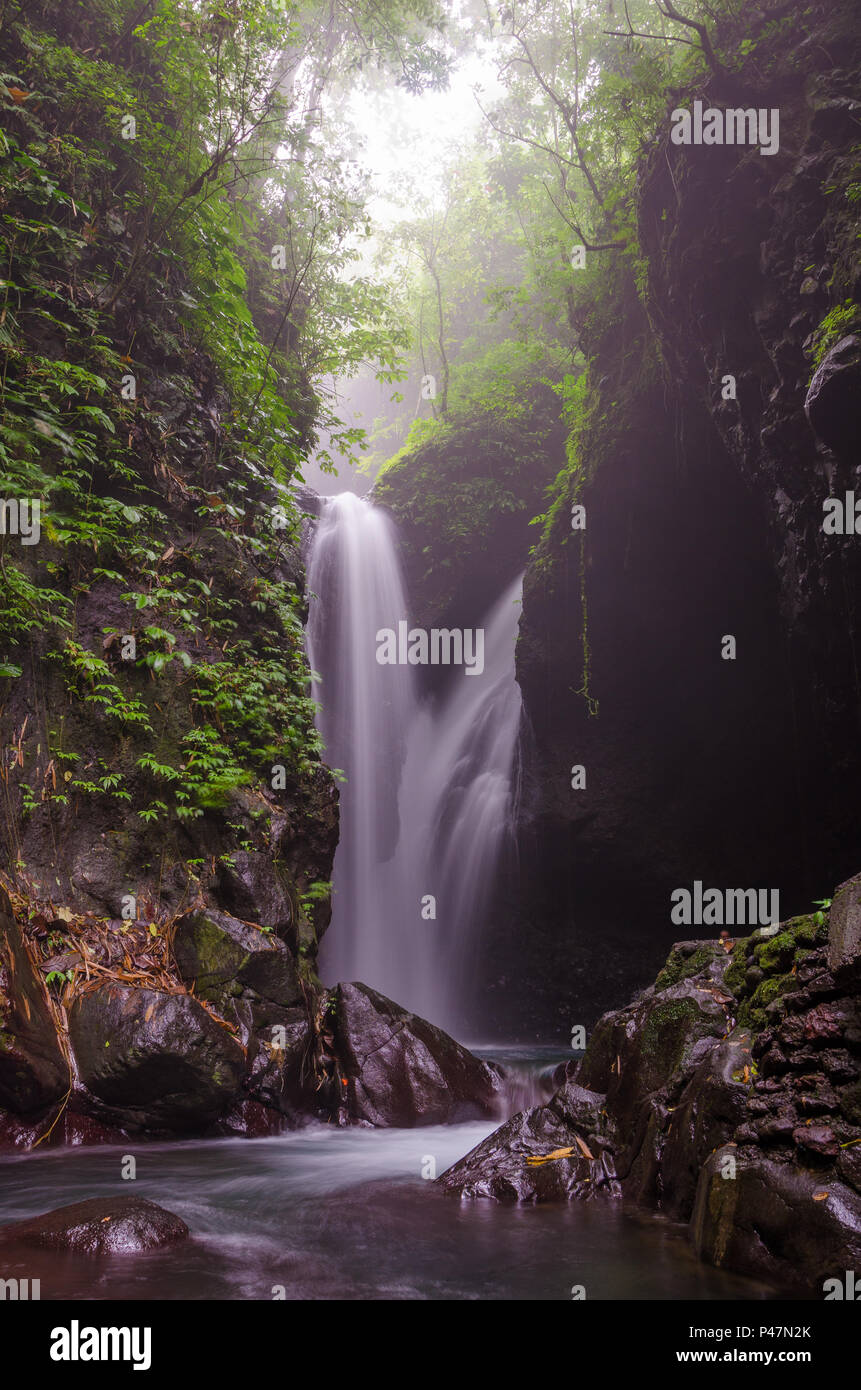 Git Git cascata, Bali, Indonesia, Asia Foto Stock