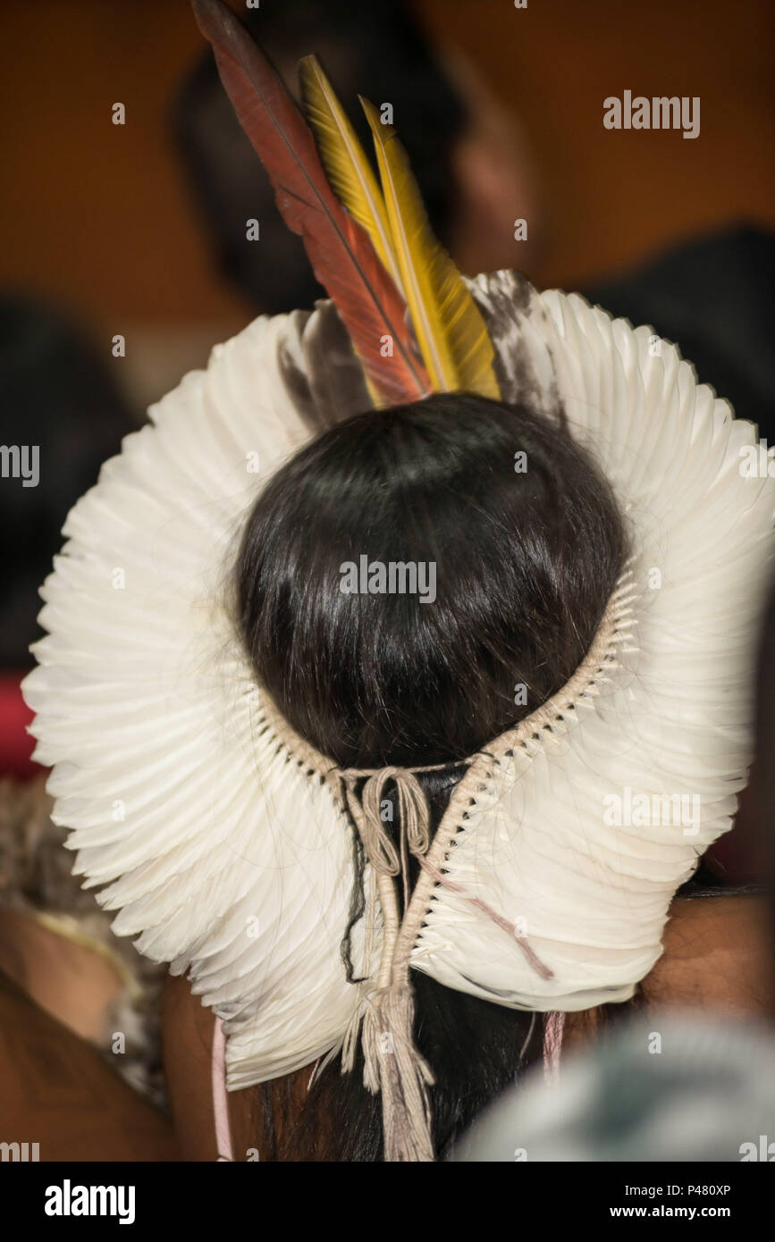 BELO Horizonte, MG - 18/04/13: Comemoração fare Dia do Índio - Comemoração fare Dia do Índio na Assembléia Legislativa de Minas Gerais. (Foto: Mourão Panda / Fotoarena) Foto Stock