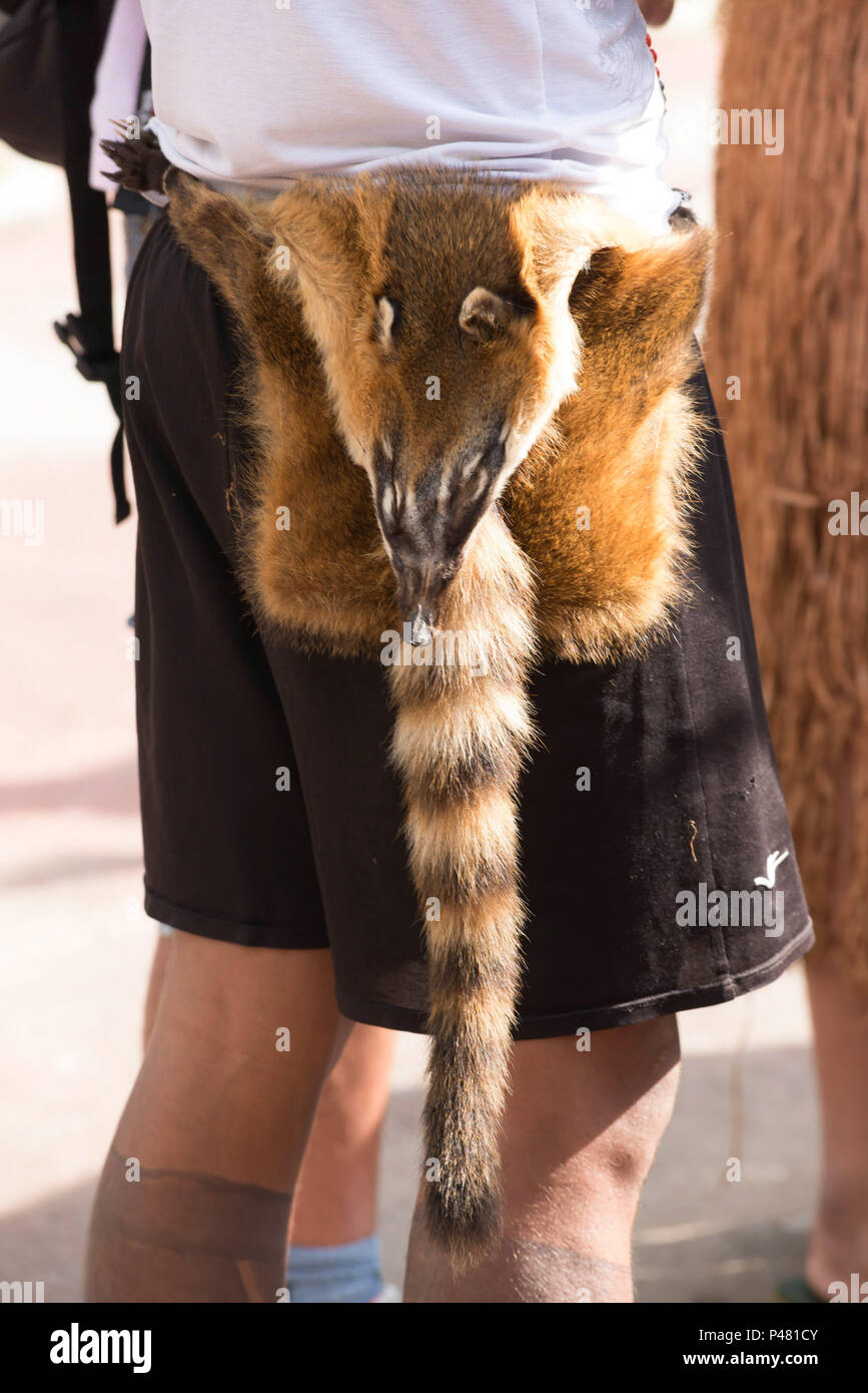 BELO Horizonte, MG - 18/04/13: Comemoração fare Dia do Índio - Comemoração fare Dia do Índio na Assembléia Legislativa de Minas Gerais. (Foto: Mourão Panda / Fotoarena) Foto Stock