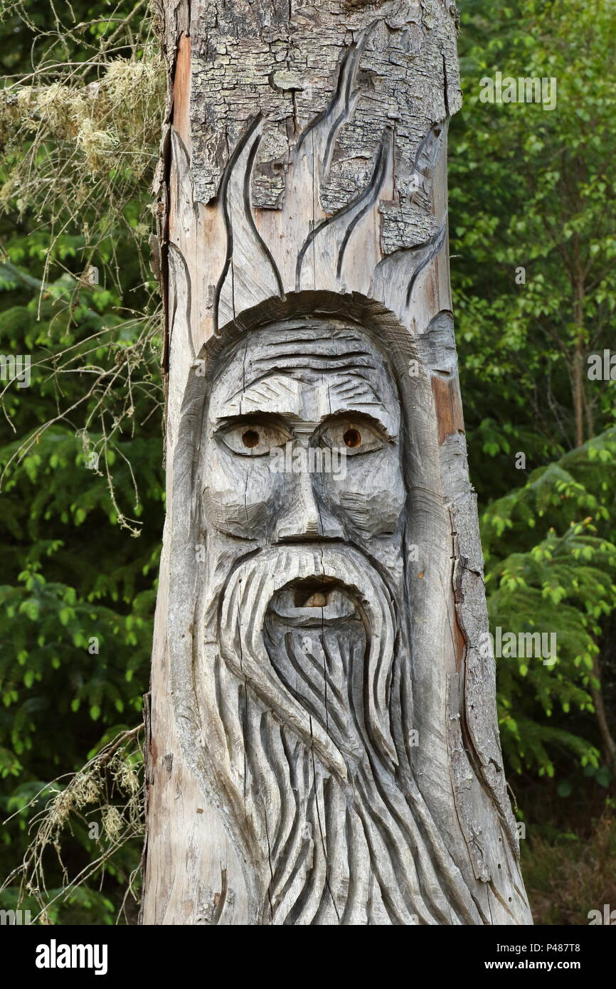 Tree carving di vecchio uomo in Camore boschi, Dornoch ; in Scozia. Regno Unito Foto Stock