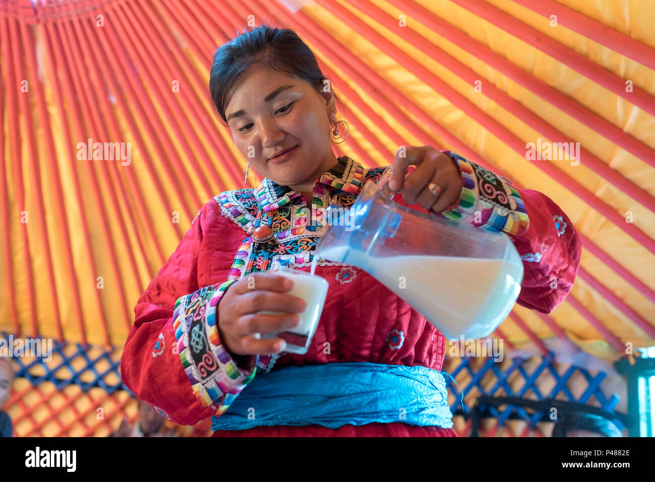 Le donne serve latte di cavallo per i visitatori per la sua famiglia estate yurt, Xiwuzhumuginqi, Mongolia Interna, Cina Foto Stock