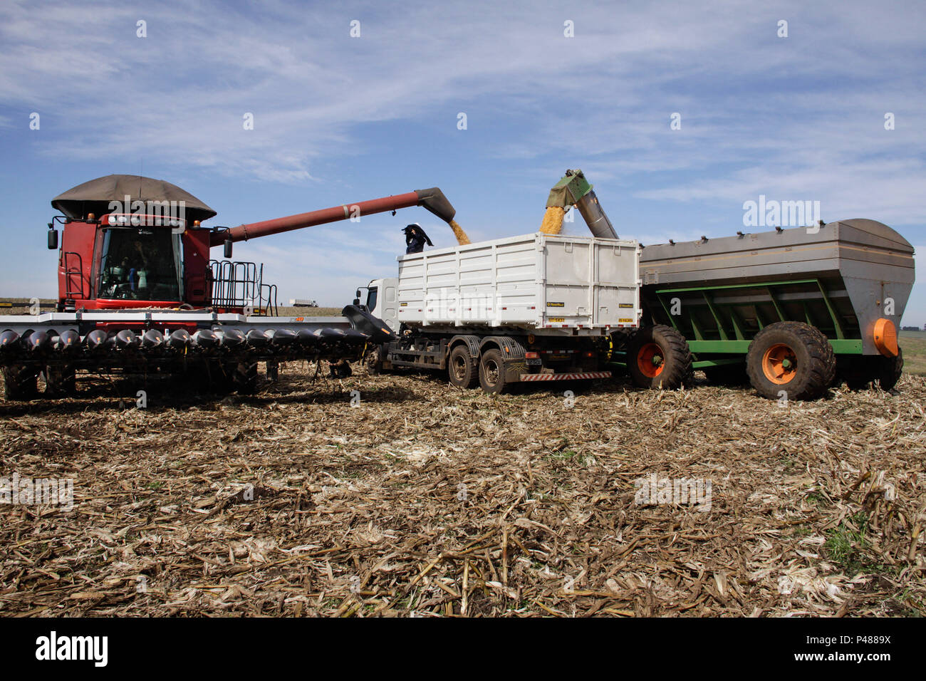 VACARIA, RS - 03/05/14: COLHEITA DE TRIGO - RS. Abastecimento do caminhão de Apoio que lev o trigo do Campo de colheita até os silos, para armazenamento e secagem. (Foto: Vanessa Bohn / Fotoarena) Foto Stock