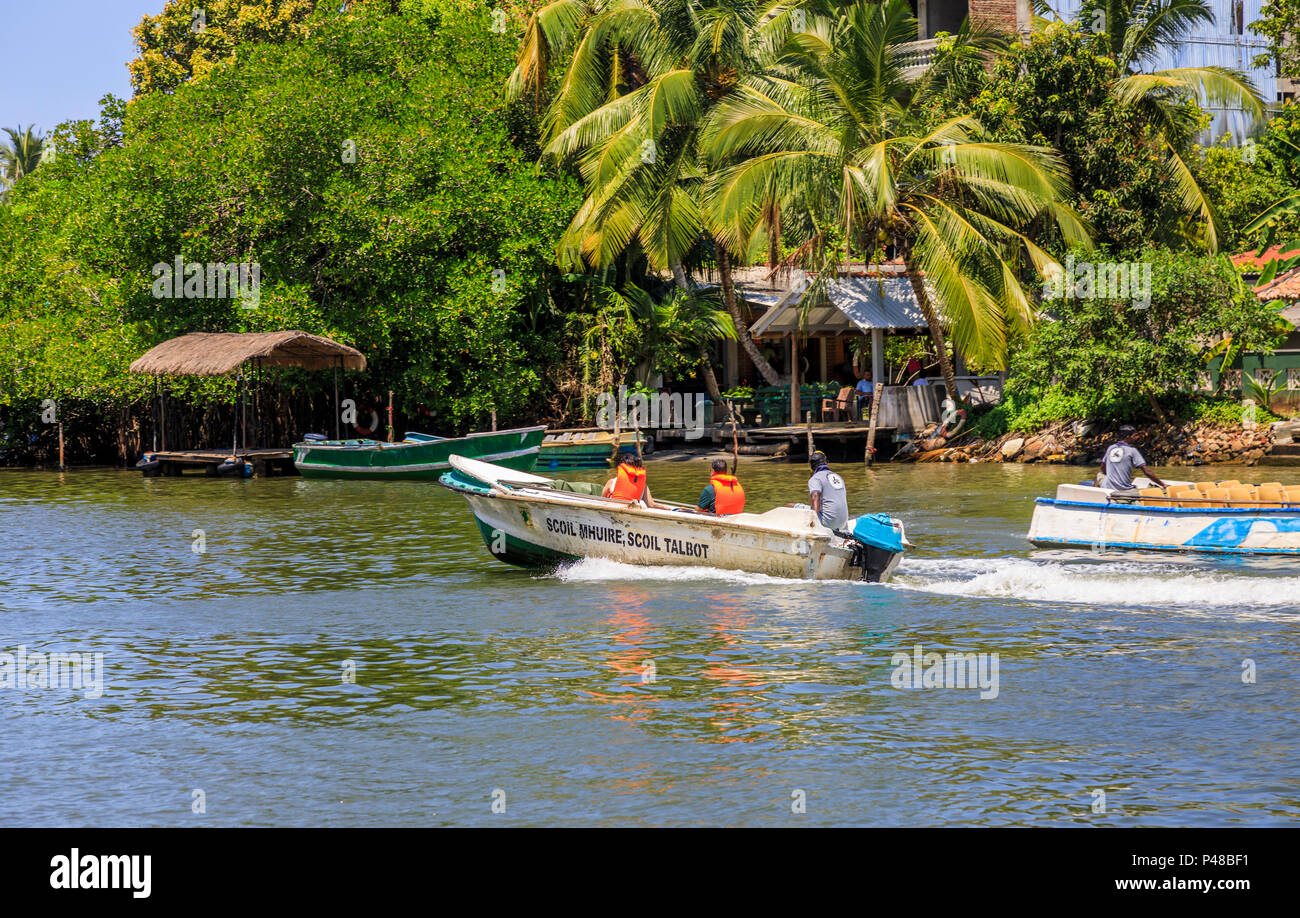 Speedboat turistica per una gita in barca con tropical riverside scenario accelerando sul fiume Madu, Madu Ganga zone umide, sud-occidentale dello Sri Lanka Foto Stock