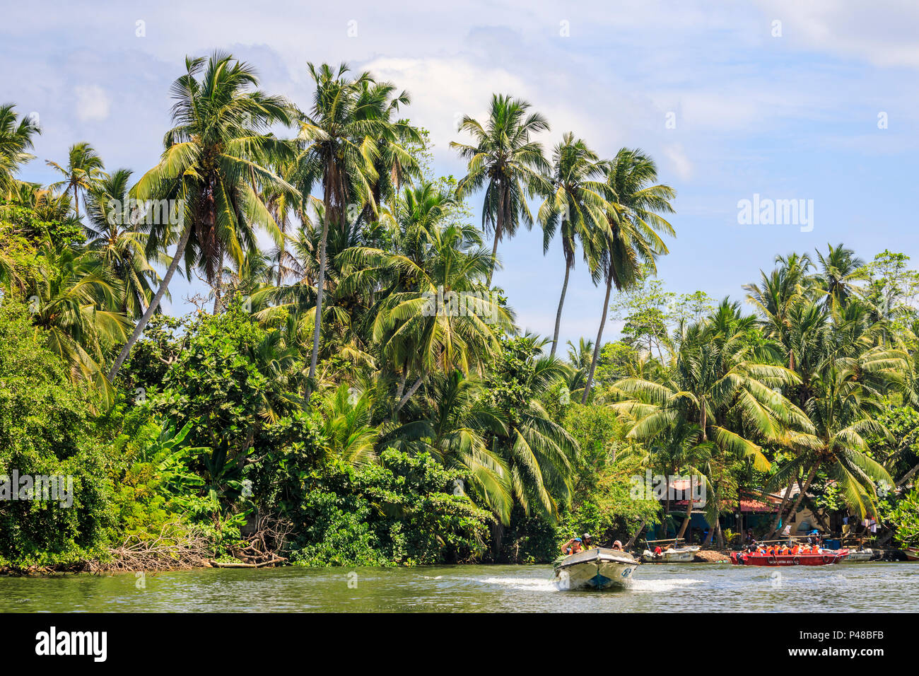 Speedboat velocizzando e turisti a bordo di una barca in un lussureggiante paesaggio tropicale e palme sul fiume Madu, Madu Ganga zone umide, sud-occidentale dello Sri Lanka Foto Stock