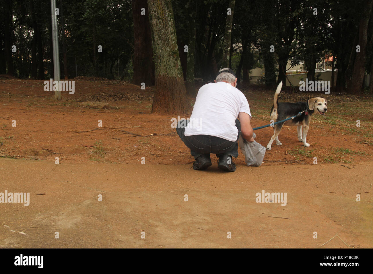 SÃO PAULO, SP - 10.04.2015: ADULTO RECOLHENDO FEZES DE CACHORRO - Adulto recolhendo fezes de cachorro em praça pública na Vila Madalena. (Foto: Celio Coscia / Fotoarena) Foto Stock