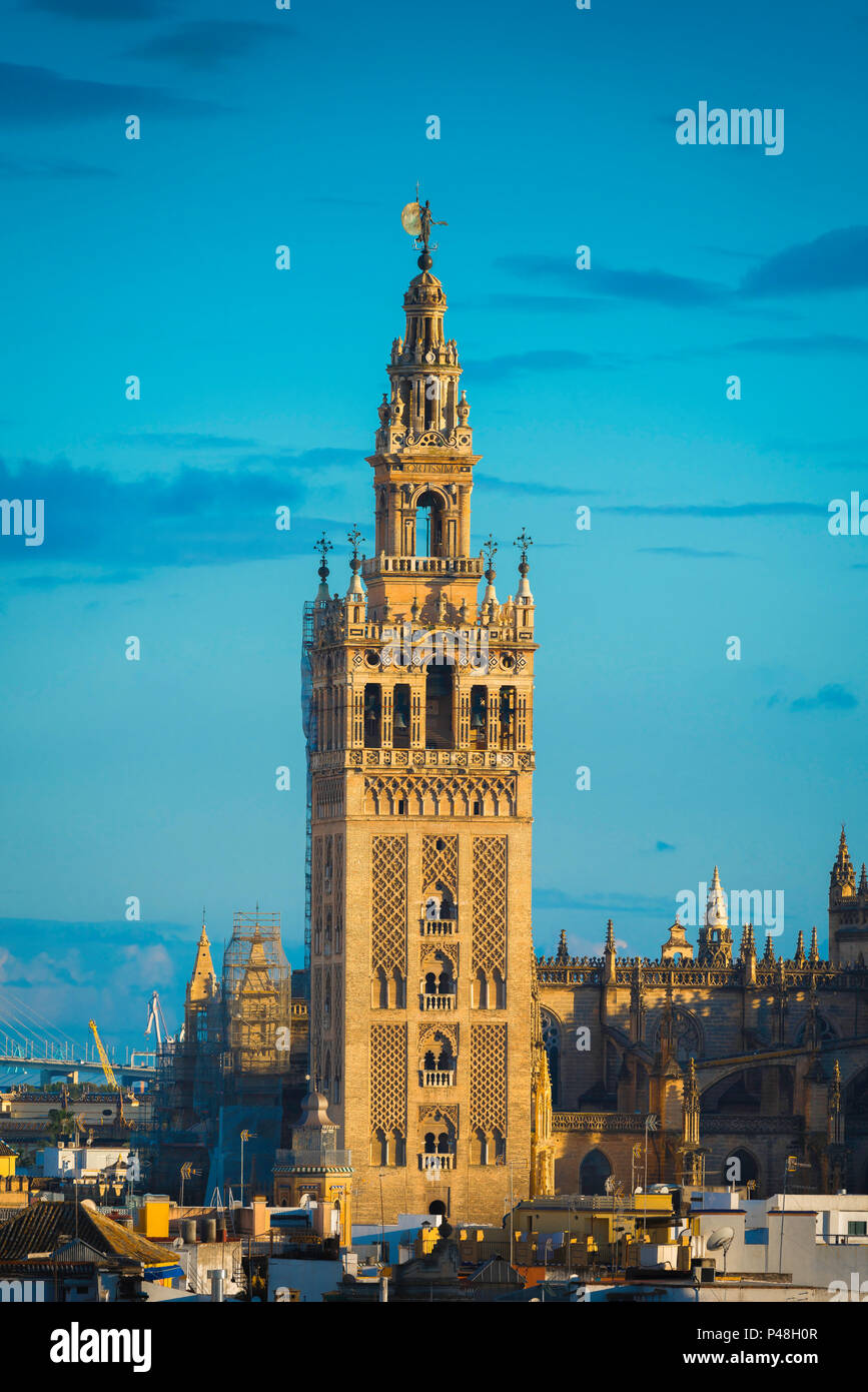 La Giralda di Siviglia, vista del XII secolo torre moresca conosciuta come La Giralda nel centro del vecchio quartiere della città di Siviglia, in Andalusia, Spagna. Foto Stock