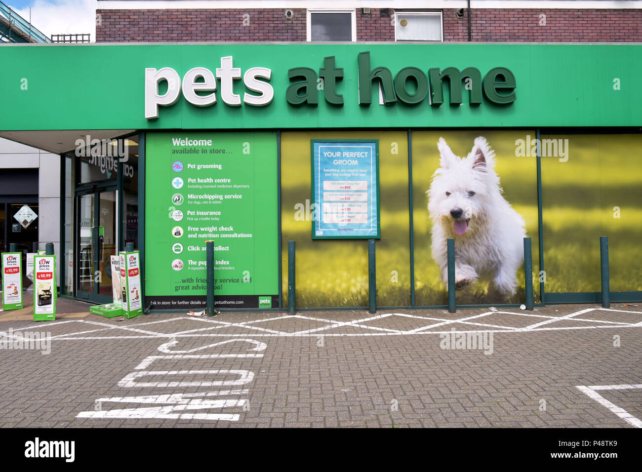 Un ramo del negozio specializzato in animali domestici in casa su Camden Road, a nord di Londra. Foto Stock