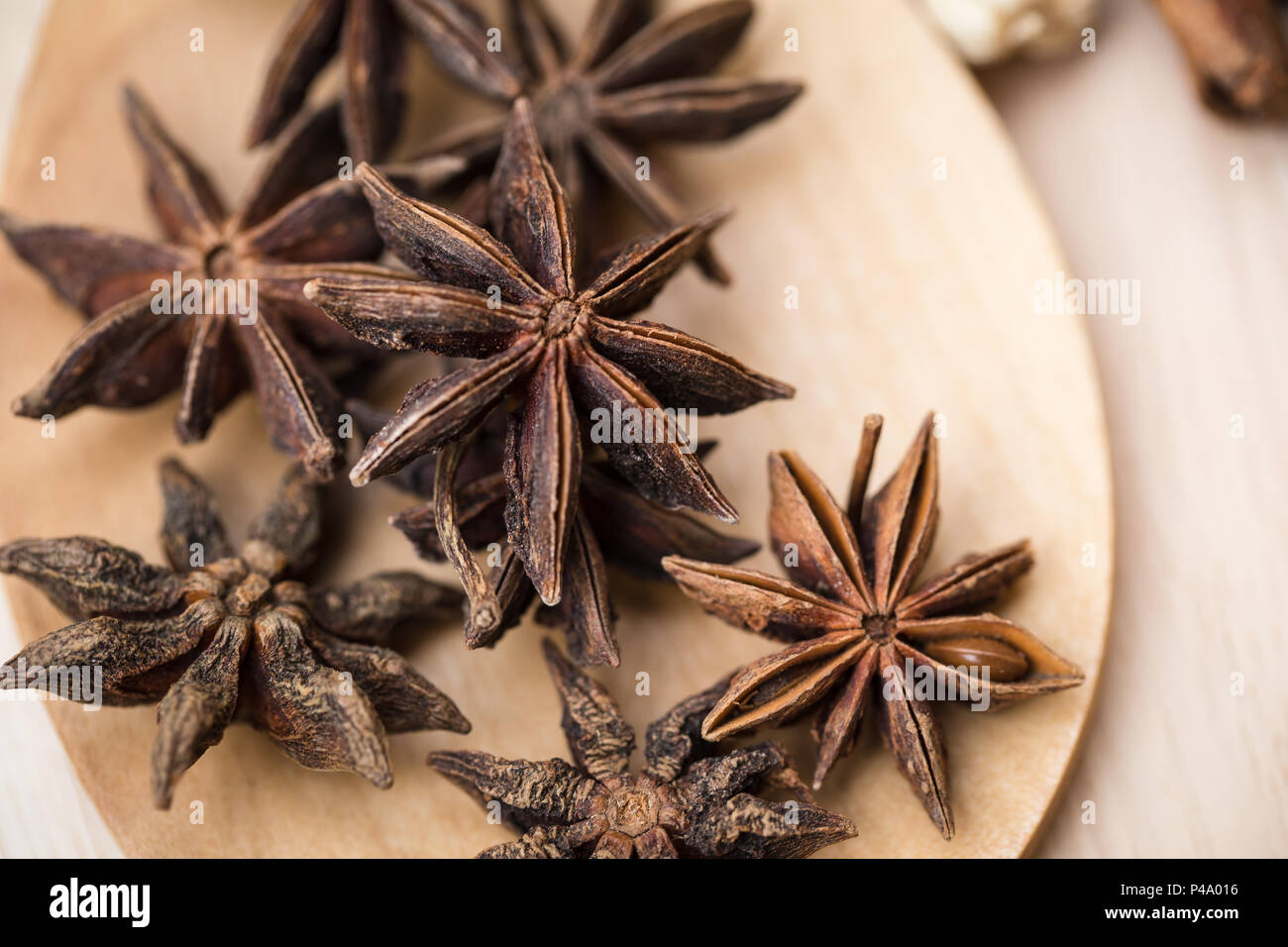 Erba essiccata insieme di raccolta. mix di impianto a secco a base di erbe di sementi per la natura di medicina alternativa. Foto Stock