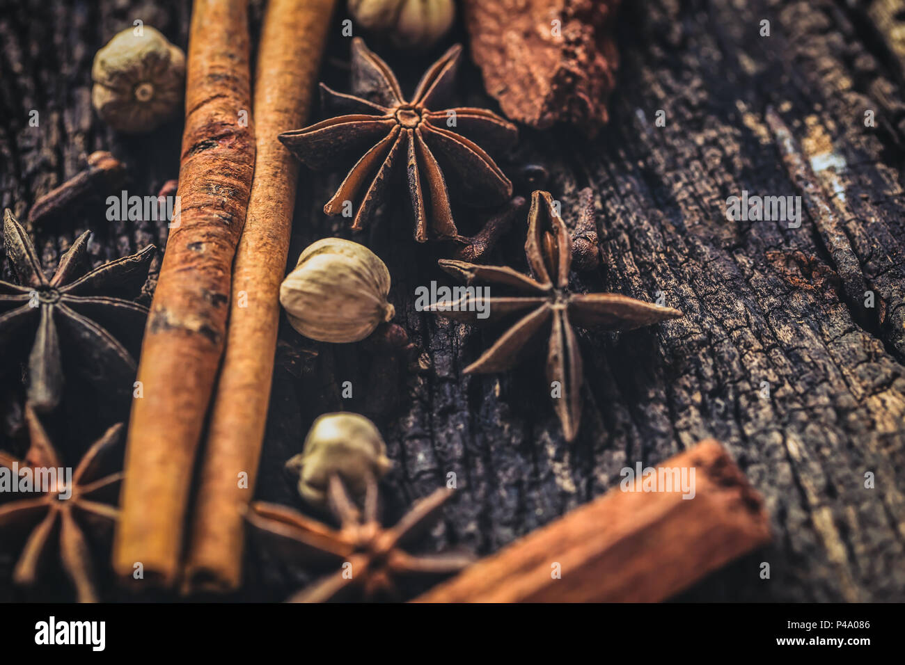 Erba essiccata insieme di raccolta. mix di impianto a secco a base di erbe di sementi per la natura di medicina alternativa. Foto Stock