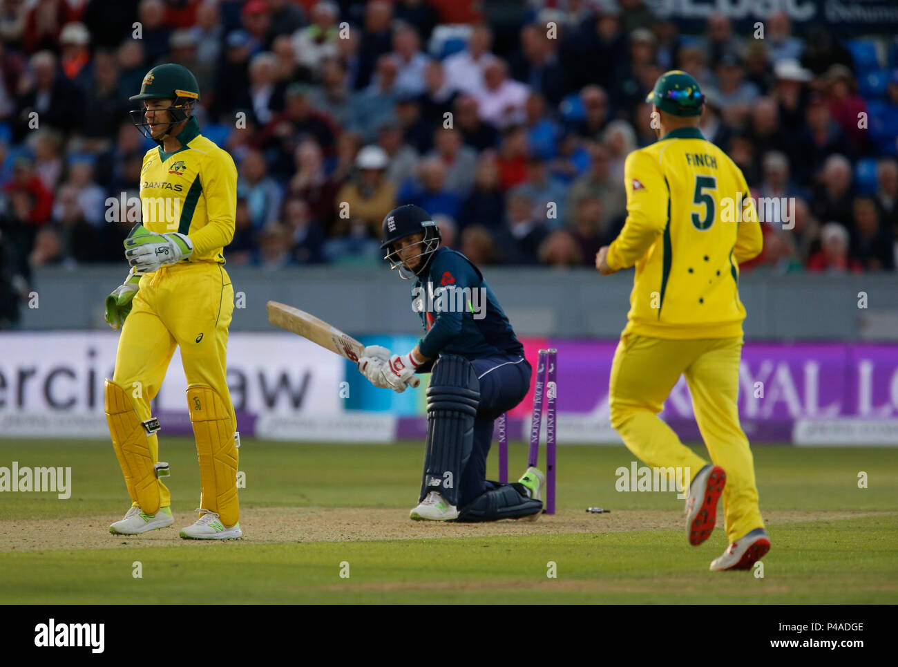 Emirates Riverside, Chester-le-Street, UK. Il 21 giugno, 2018. Un giorno International Cricket, 4 Royal London ODI, tra Inghilterra e Australia; Joe radice dell'Inghilterra è colpiti da Ashton Agar di Australia per 27 e Tim Paine e Aaron Finch esegui per celebrare il credito: Azione Sport Plus/Alamy Live News Foto Stock