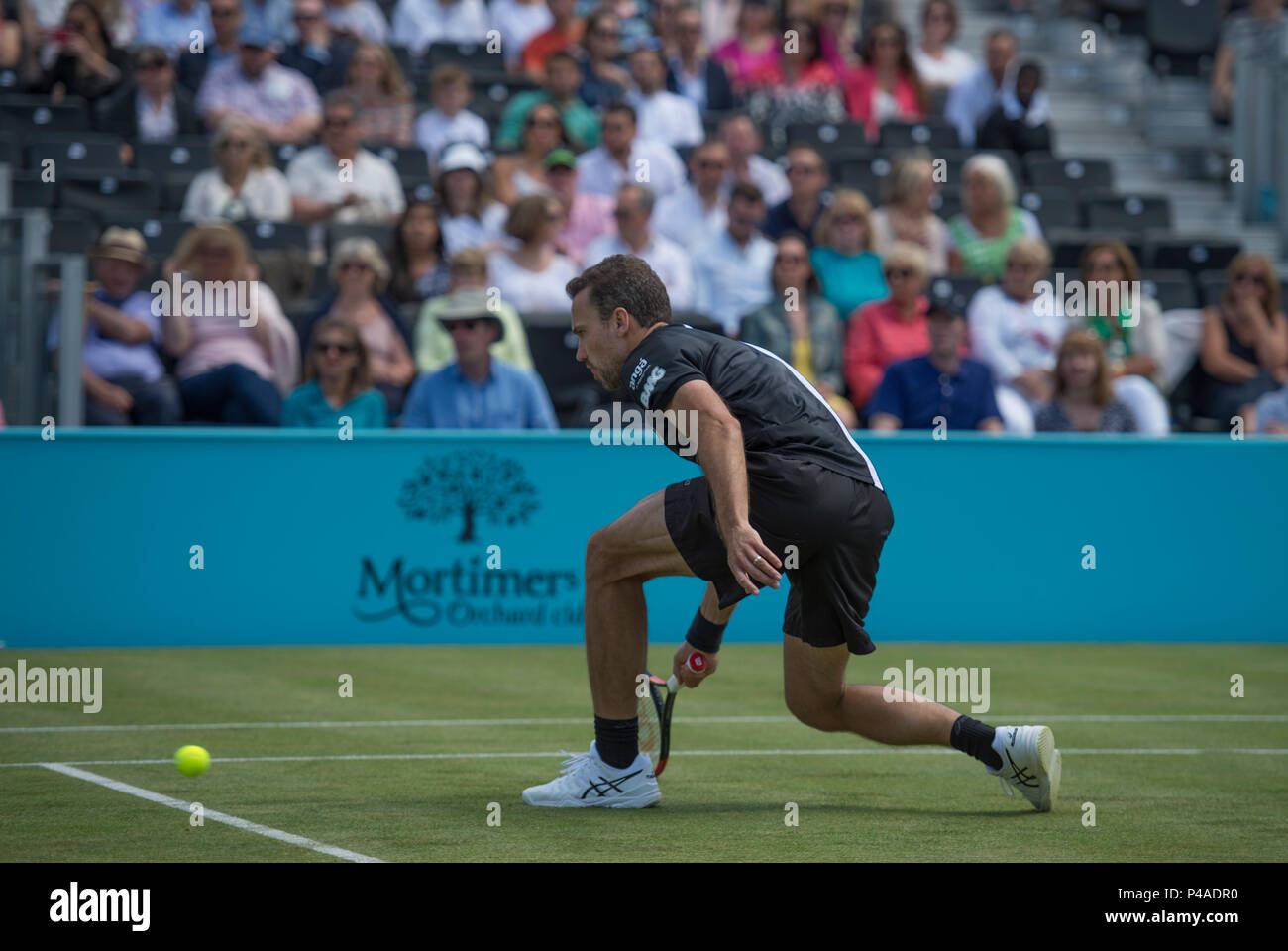 La Queen's Club di Londra, Regno Unito. 21 Giugno, 2018. Il giorno 4 della febbre campionati ad albero sul Centre Court con Jamie Murray (GBR) e Bruno Soares (BRA) vs Marcus Daniell (NZL) e Wesley Koolhof (NED). Credito: Malcolm Park/Alamy Live News. Foto Stock