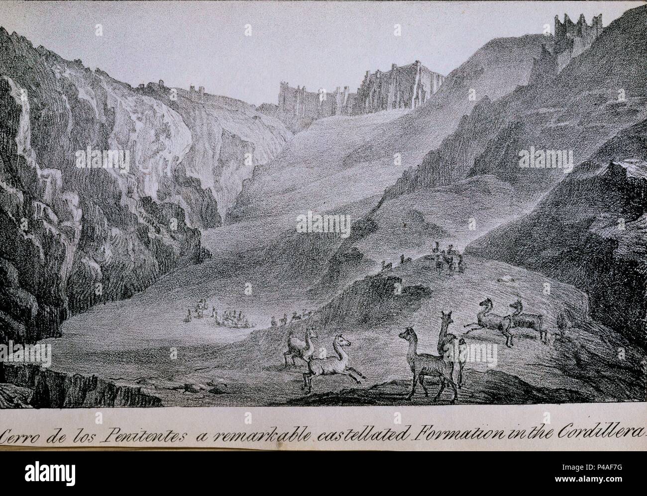 VIAJES POR CILE Y LA PLATA - CERRO DE LOS PENITENTES - REBAÑO DE LLAMA PASTANDO EN LA CORDILLERA DE LOS ANDES - GRABADO SIGLO XIX. Autore: MIERS JOHN. Posizione: Academia de la historia-COLECCION, MADRID, Spagna. Foto Stock